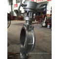 JIS 10k Ss304 Butterfly Valve